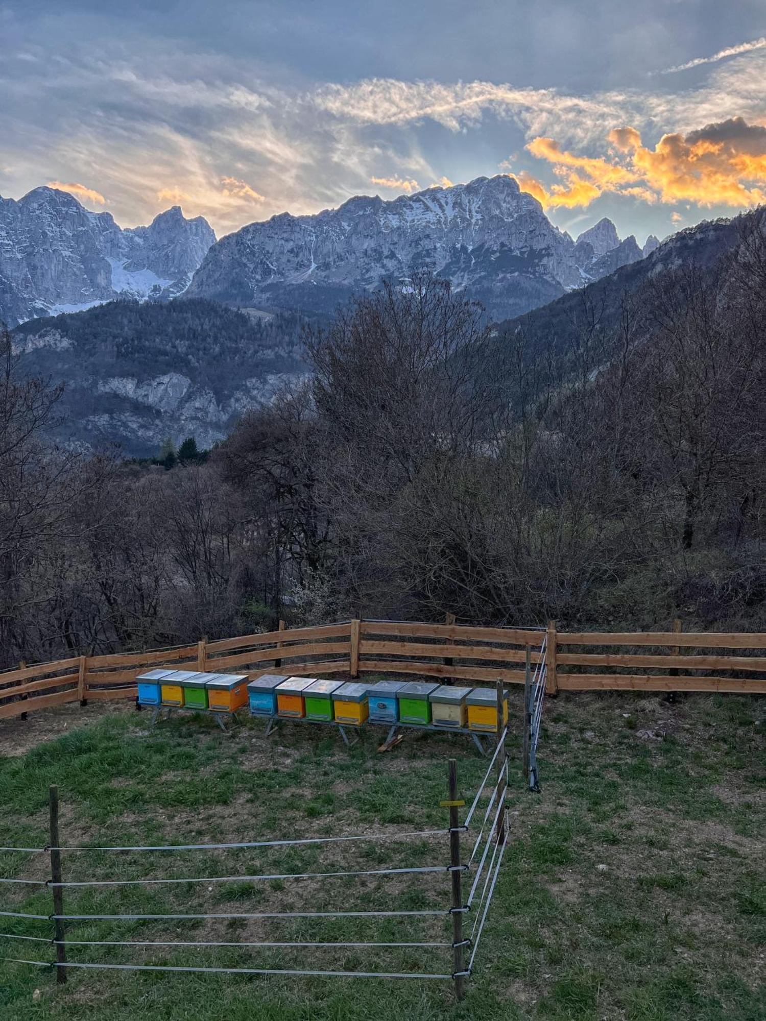 Agriturismo Ai Castioni Мольвено Екстер'єр фото