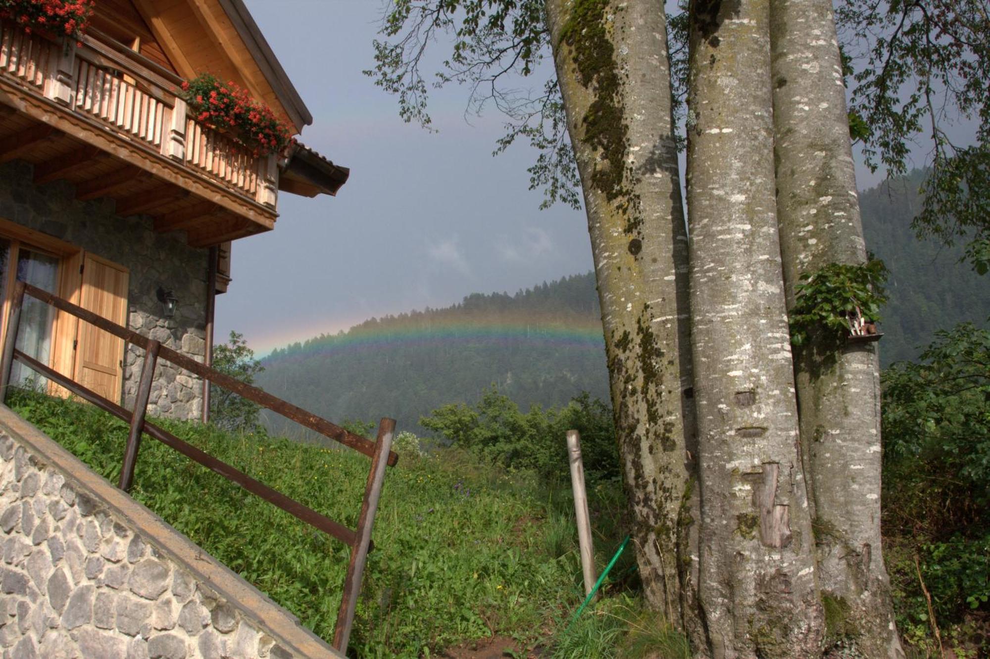 Agriturismo Ai Castioni Мольвено Екстер'єр фото